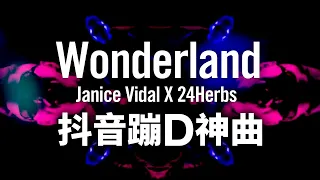 抖音歌曲 Wonderland - Janice Vidal X 24Herbs 粵语歌 完整版 | AAG 編製 #Shorts #微型攝影 #手機攝影