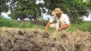 Ventajas y Beneficios de la Agroecología - TvAgro por Juan Gonzalo Angel