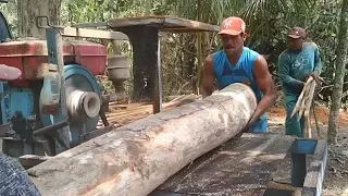 Super cepat kilat, penggergajian kayu oleh operator profesional