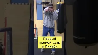 Правый прямой удар в Пикабу #Бокс #Пикабу #МайкТайсон