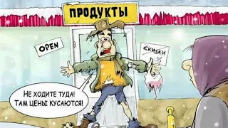 ЛПХ- как и с чего начать. Ответы на вопросы.