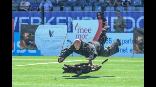 KNPV  @03/09/2022 police dogs   Championships  stick attack   Eindhoven