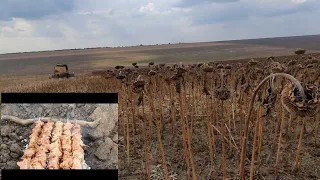 Шок!Уборка  подсолнечника прямого посева.NO-TILL UKRAINE.