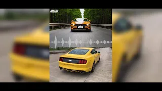 Ford Mustang Catback Exhaust Upgraded with RES Exhaust valve catback sound check