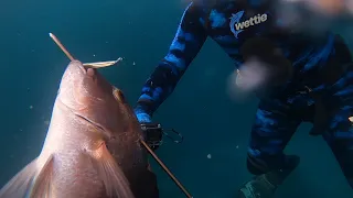 Brothaz Of Tangaroa (Road Trip To Aotea/Great Barrier Island Part 1)