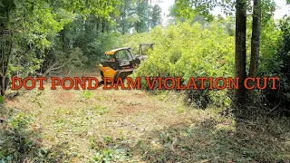 Brush Cutting and Mulching a DOT VIOLATION Pond Dam