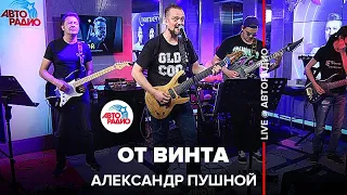 Александр Пушной - От Винта ("Смешарики" cover) LIVE @ Авторадио