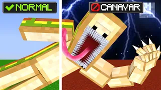 CANAVAR OLDUMMM! - Minecraft