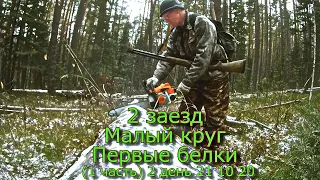 2 заезд Малый круг Первые белки 2 день (1 часть)  21 10 20