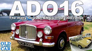 BMC's Austin/Morris 1100 (ADO16) and related cars | UK market