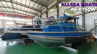 Allsea Boats Aluminum Pontoon Boat for Offshore Leisure