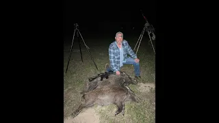 Texas Hog Hunts with BRD 450 Bushmaster URG