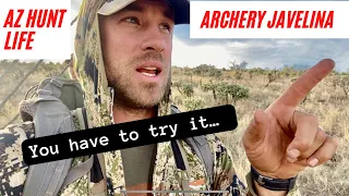 Archery Javelina Hunting in Arizona | The Fun Hunt