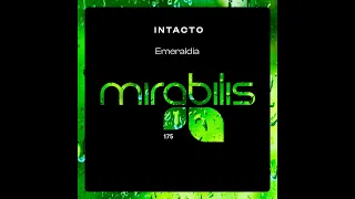 Intacto - Palindrom (Original Mix)
