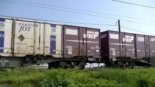 【HD】EF510-13レッドサンダー下り貨物列車富山機関区