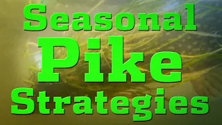 Seasonal Pike Strategies