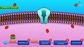 Antibiotic Resistance and Forms of Resistance - Animation