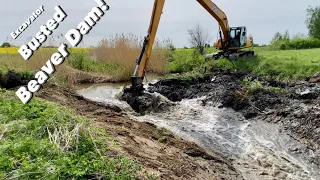 EXCAVATOR BUSTED BEAVER DAM!