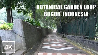 [4K] Walking around Botanical Garden Bogor, West Java, Indonesia