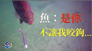 🐟💪【路亞的致命陷阱】這個被忽視的關鍵錯誤，讓你我錯過了多少魚？水下鏡頭眼見為實！不再對路亞中魚失去信心