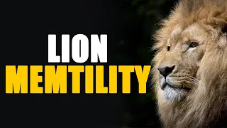 Lion Mentality Motivational Speech Video - the lion attitude (heart of a lion) motivational video