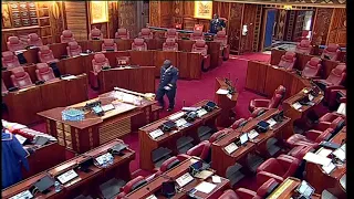 The Senate Plenary, Wednesday 2nd August 2023 - Afternoon Session