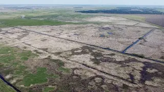 В Новосибирской области ЧС из-за засухи