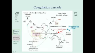 Newborn Hematologic Disorders (Part 1) - CRASH! Medical Review Series