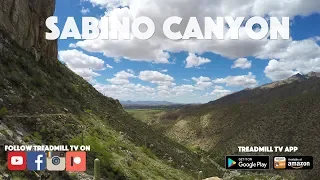 Sabino Canyon Arizona Virtual Hike 4k