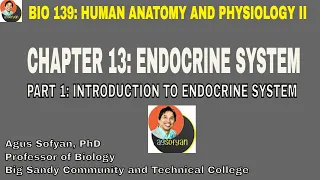 BIO 139: Chapter 13 Part 1: Introduction to Endocrine System