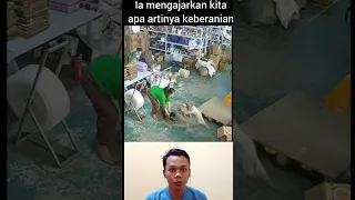 Keberanian! Reaction Meme #short #meme #reaction #lucu #kocak #respect #kucing #memes