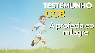 TESTEMUNHO CCB A PROFECIA E O MILAGRE #ccb #testemunhosccb #testemunho