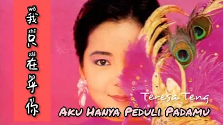 Wo Shi Zai Hu Ni  我只在乎你 - Teresa Teng ( 邓丽君 ) - Lagu Mandarin Subtitle Indonesia - Pinyin