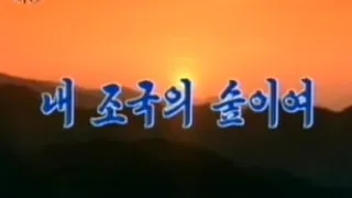 【北朝鮮音楽】내 조국의 숲이여（我が祖国の森よ）普天堡電子楽団