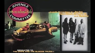 Juvenile Committee - Free Us Colored Kids (1993)