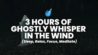 3 Hours of Ghostly Whisper Wind Ambience Sound Effect | Disturbing, Eerie, Scary