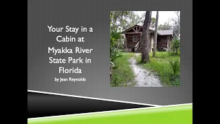 Your Stay in a Cabin at Myakka River State Park in Florida