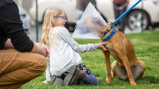 2023 Blue Mountain Humane Society Valley Giving Guide campaign video