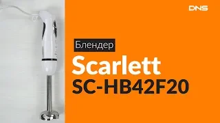 Распаковка блендера Scarlett SC-HB42F20 / Unboxing Scarlett SC-HB42F20