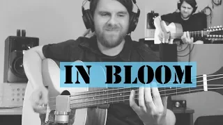 NIRVANA Fingerstyle Cover - "In Bloom"