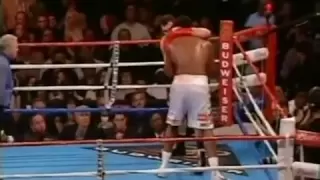 Леннокс Льюис - Виталий Кличко (Lennox Lewis vs Vitali Klitschko)