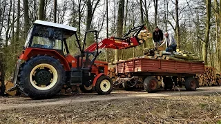 Rolnik Szuka Wyjeżdża Po Drewno 2018 / Zetor 7211 - Rolnik Pracuje #27