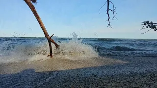 monroe michigan shoreline