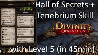 Divinity - Original Sin: Hall of Secrets + Tenebrium Skill with Level 5