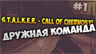 S.T.A.L.K.E.R. - Call of Chernobyl | Дружная команда |