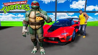 Stealing Cars from Ninja Turtles in GTA 5