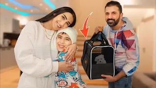 اكبر مفاجأة في حياة ابننا 🐕‍🦺!! (هدية احلامه)