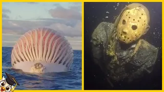 10 Najdziwniejszych Rzeczy znalezionych w Oceanie
