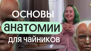 ОСНОВЫ АНАТОМИИ ДЛЯ ЧАЙНИКОВ | ОГЭ по биологии 2024