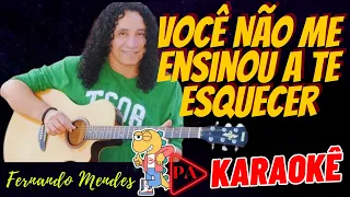 Você Não Me Ensinou a Te Esquecer (Seresta) Fernando Mendes